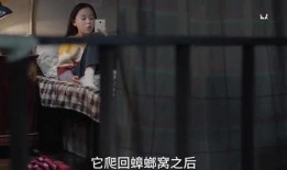 神秘人爆料小六视频全集,小六视频全集背后的惊人真相