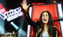 爆料那英夜场出道视频合集,揭秘歌手背后的夜场传奇